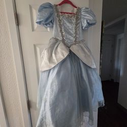 Disney Cinderella Children's Dress With Shoes For Halloween