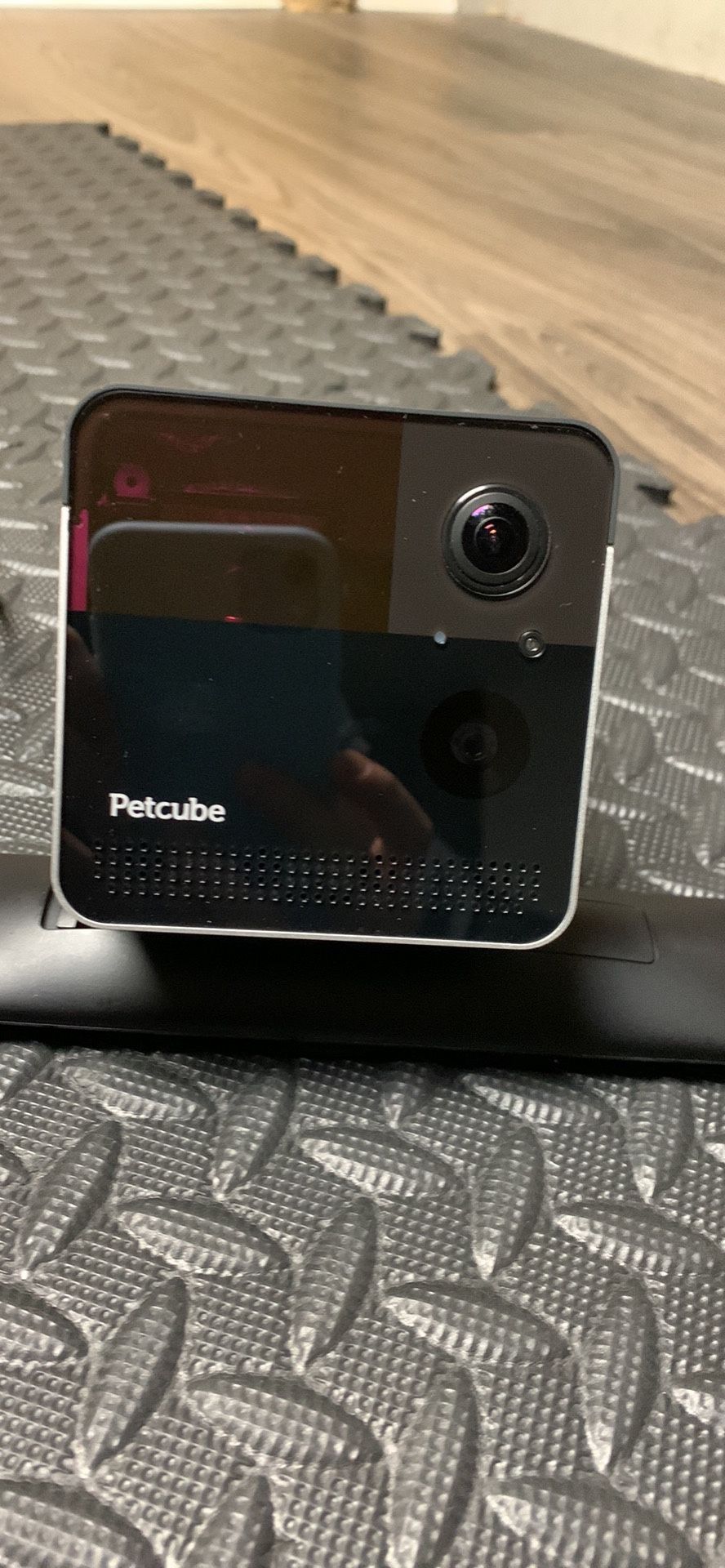 Petcube Play 2 Wi-Fi Pet Camera with Laser Toy & Alexa Built-In