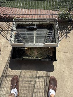 Rabbit cage