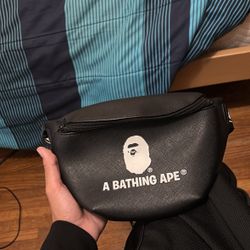 Bape bag 