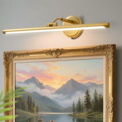 OYLYW Hardwired Picture Lights For Wall,Gold Led Art Light For Painting,Modern Metal Picture Frame Light,3CCT Dimmable Poster Gallery Painting Bookshe