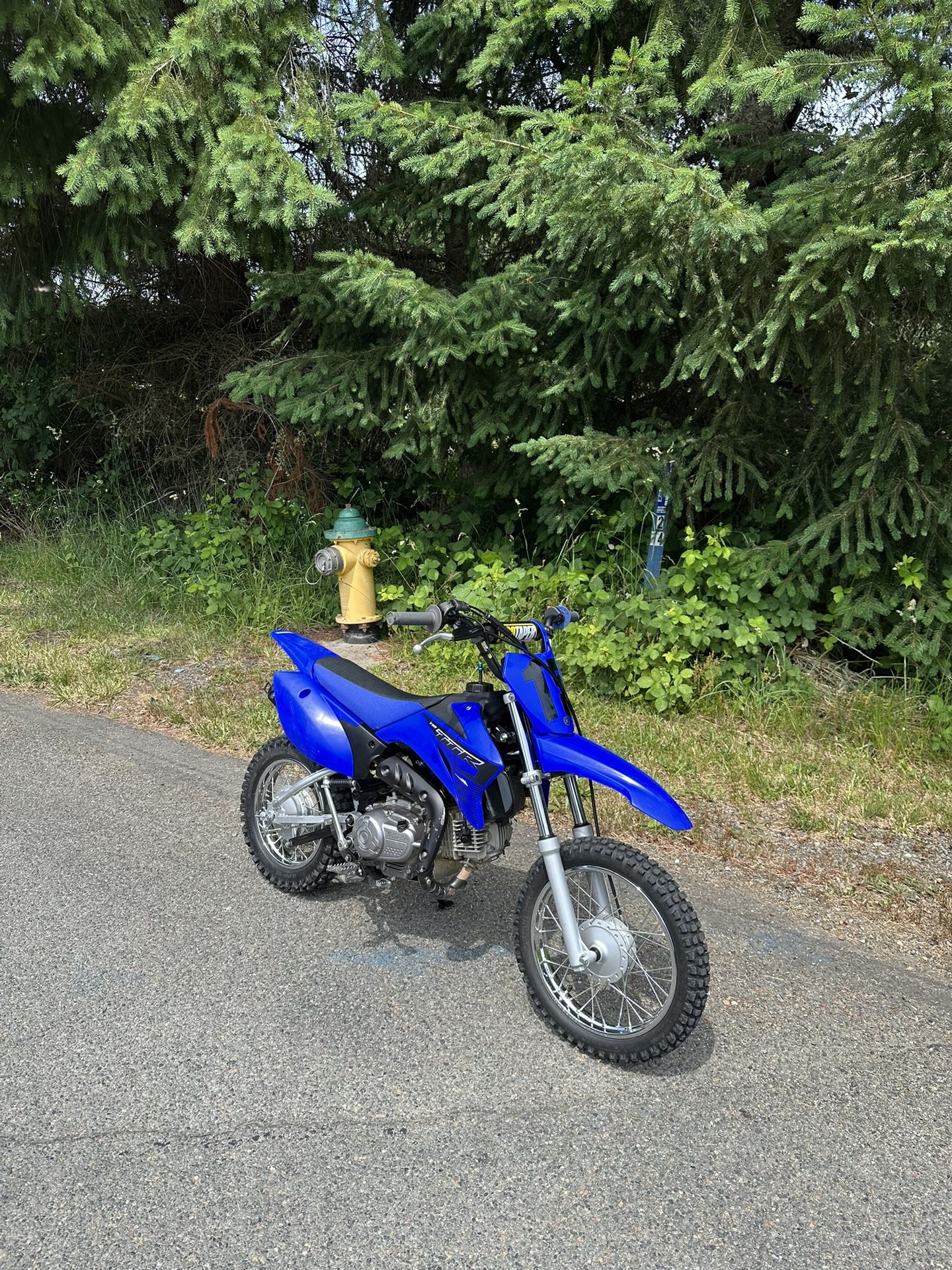 2023 Yamaha TTR110