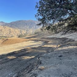 Rectors Dozer Work 