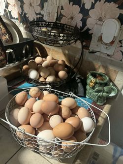 Fresh Eggs