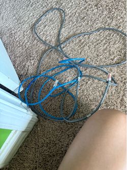 Free Ethernet cords