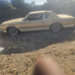 Old Needs Tlc 