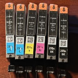 Canon 251 XL Ink Cartridges