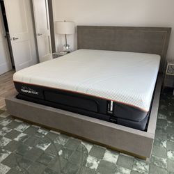 RH Modern Restoration Hardware Shagreen CA king Bed 
