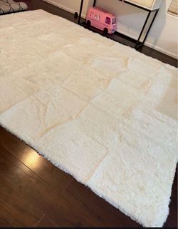 8x10 rug $40