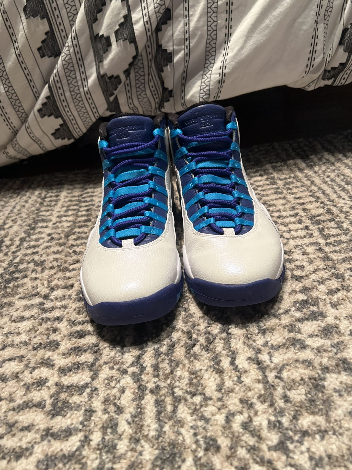 2016 Charlotte Hornet Jordan Retro 10