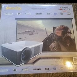 Screen Projector And Screen Bundle