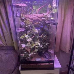 Glass Reptile Enclosure 