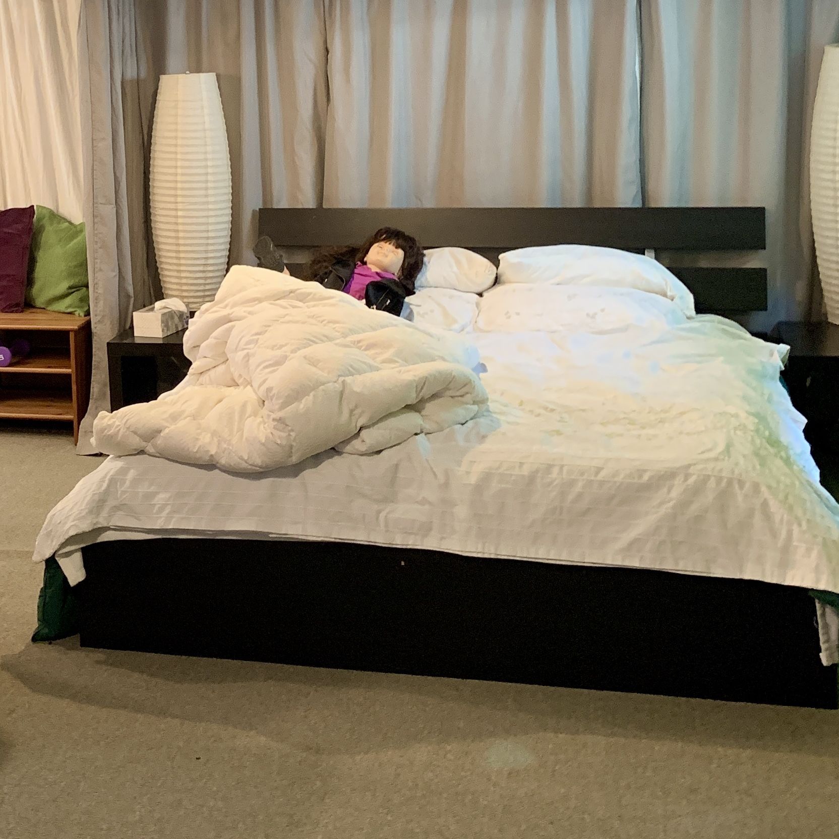 FREE Queen IKEA Bed Frame