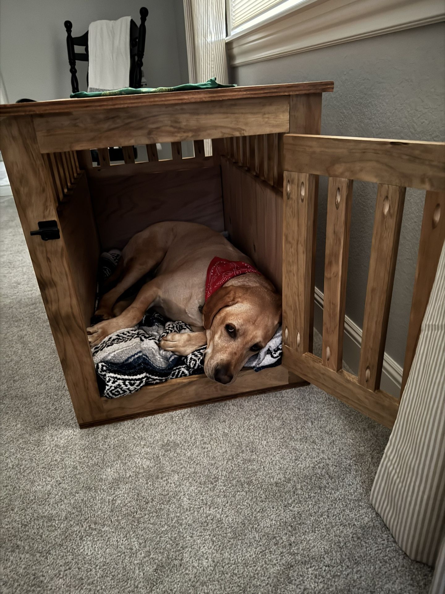 Dog Kennel Furniture