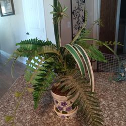 Decorative, Artificial,Plant