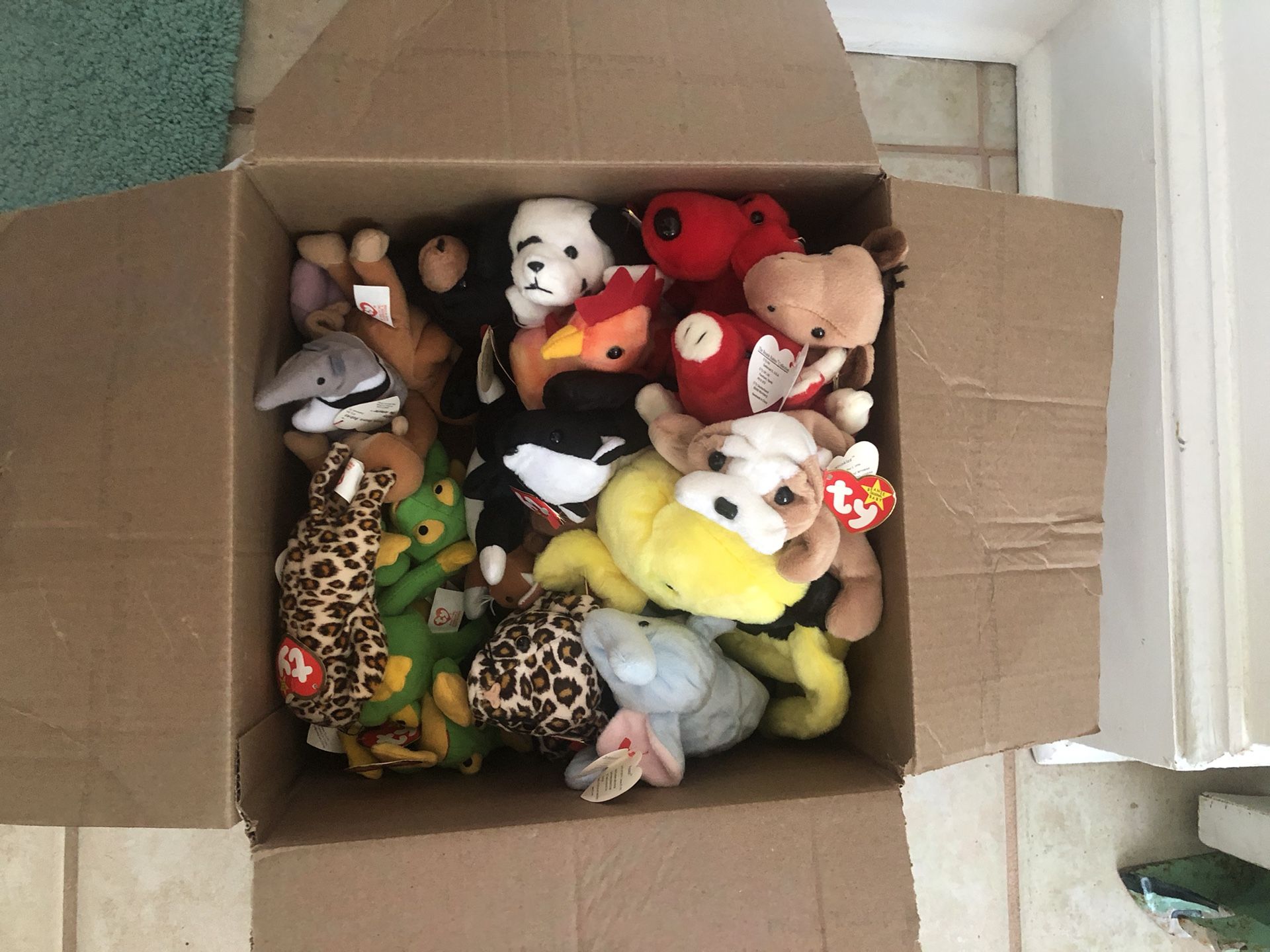 TY BOX OF BEANIE RARE BEANIE BABIES SOME ERROR