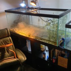 Two Fish Tanks 