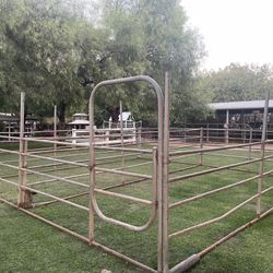 Horse Pipe Corrals