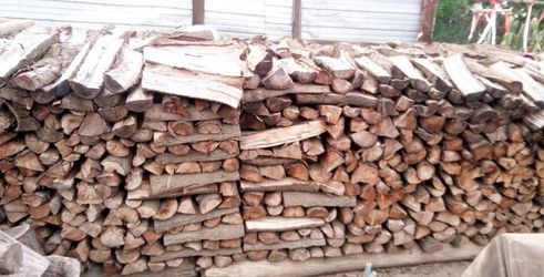Almond firewood