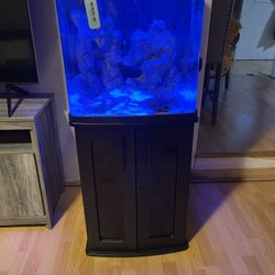 Bio fish tank