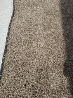 Carpet Brown Multi Color 10x10