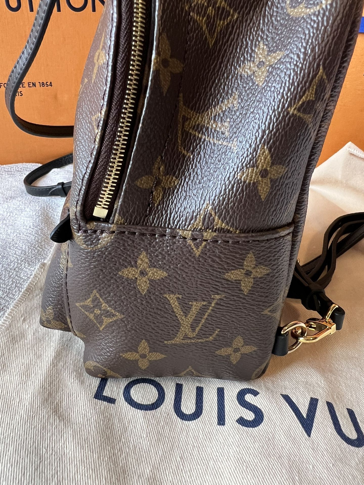 Louis Vuitton Palm Springs PM – Closet Connection Resale