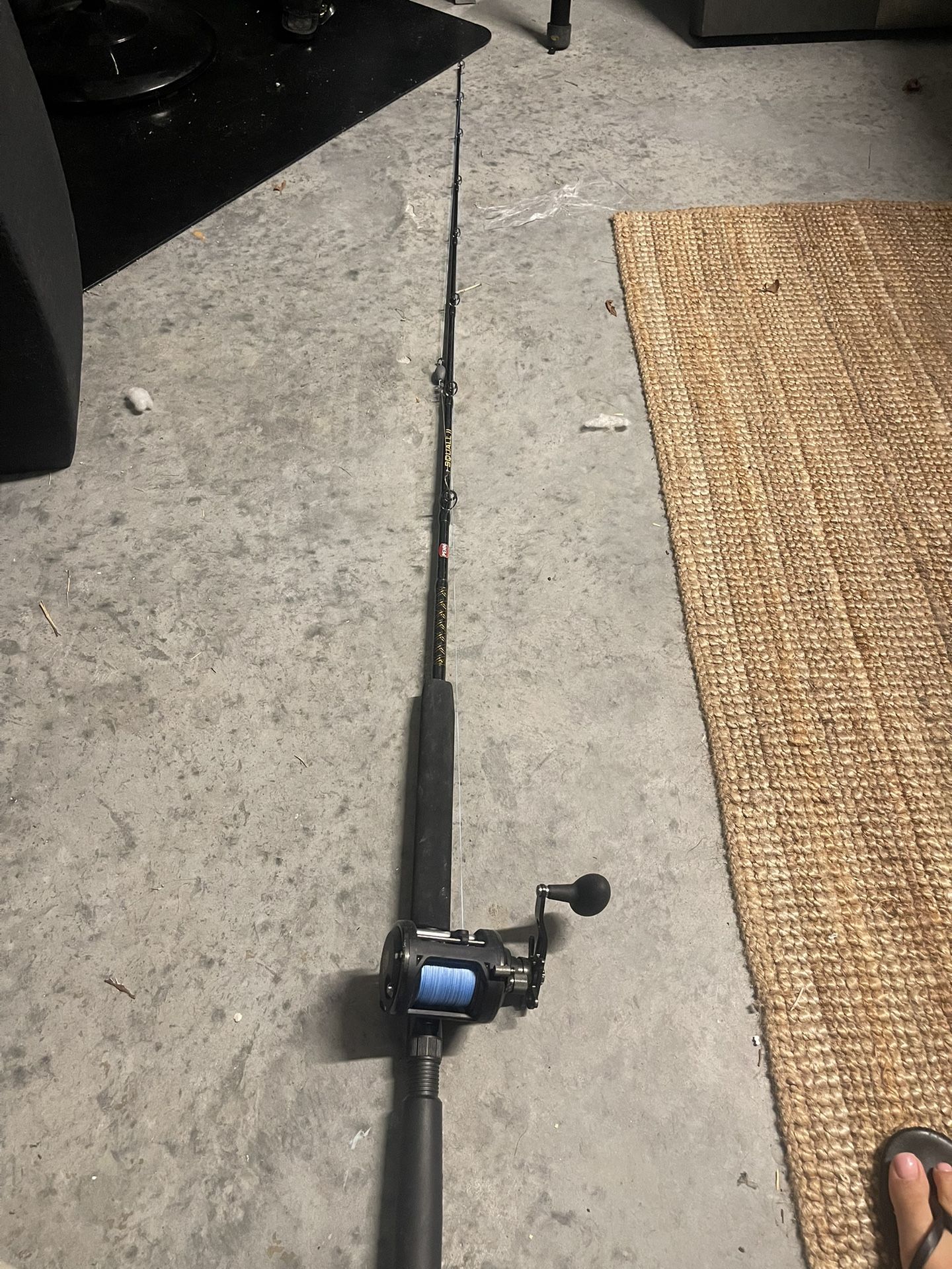 Fishing Rod