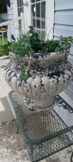 Big Plant pot