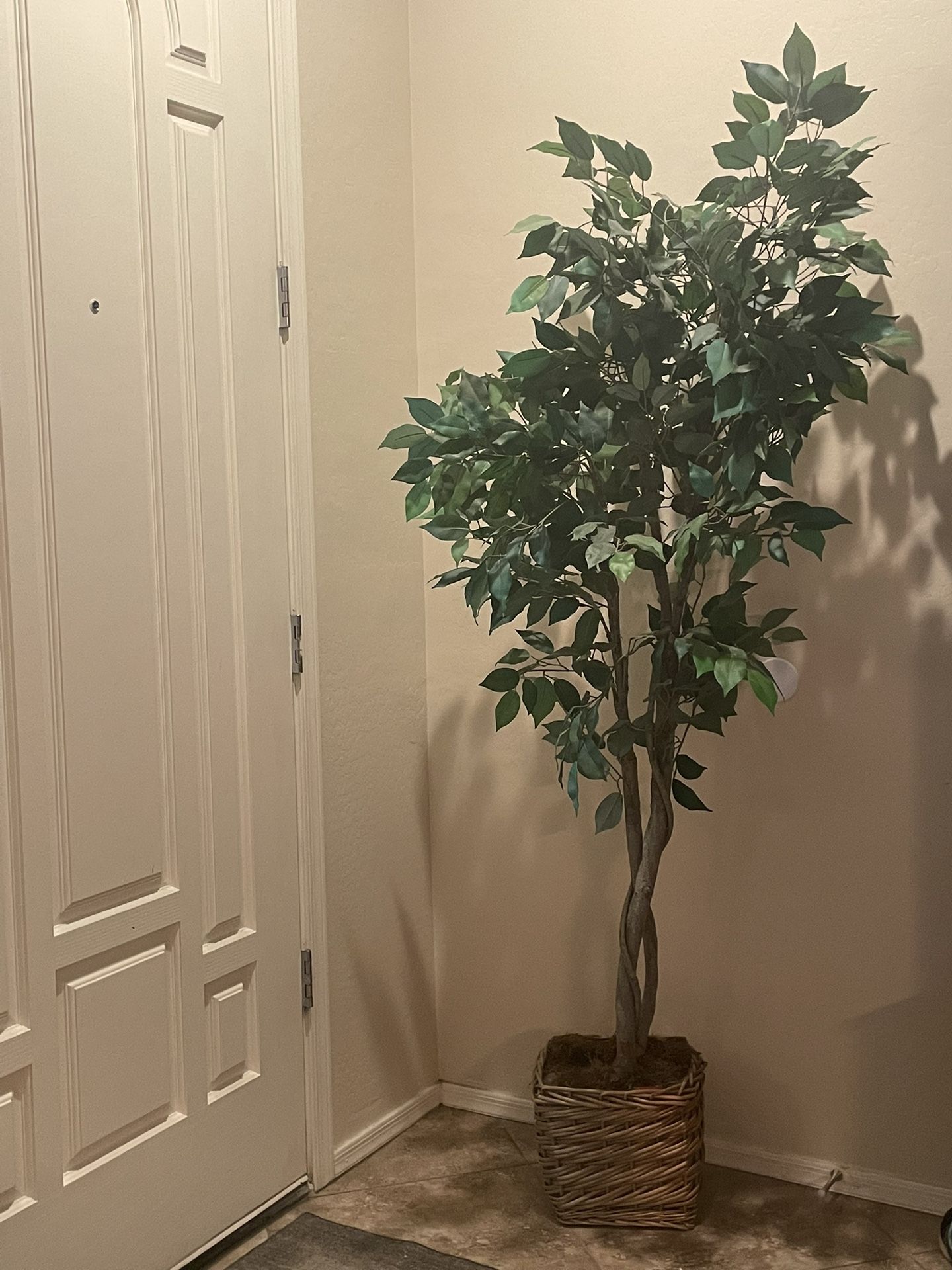 Fake Plant / Tree
