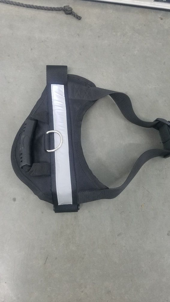 Dog Harness