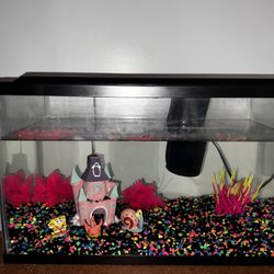 10gl Fish Tank 