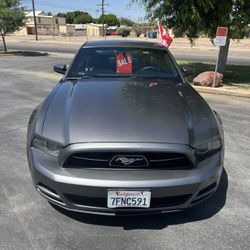 Cars & Trucks 