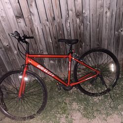 adult bike