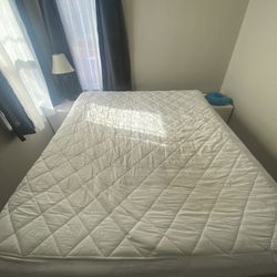 Cal King Bed Sealy 