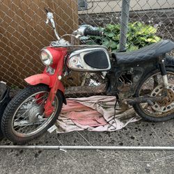 Honda Cub