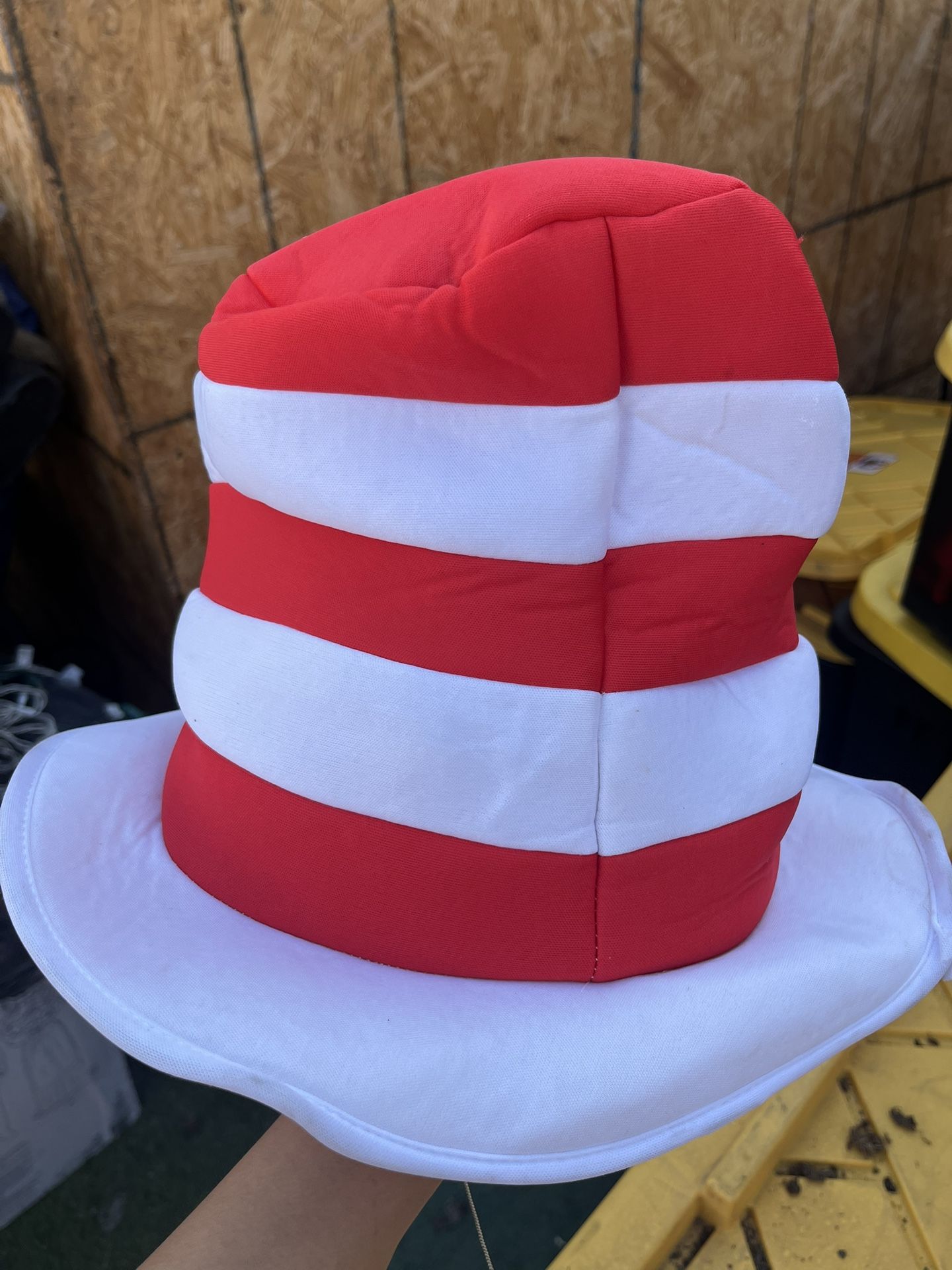 Cat In The Hat Costume