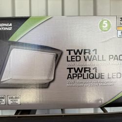 Outdoor LED Lights 100each