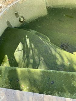 POOL ACID RINSE OR CHLORINE RINSE
