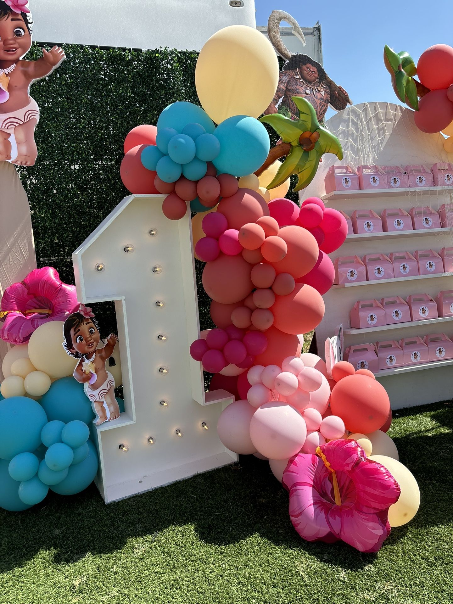 Marquee Balloon Garland Moana