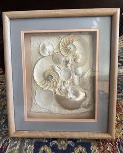 Sea Shell Wall Art