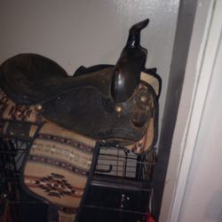 Saddle