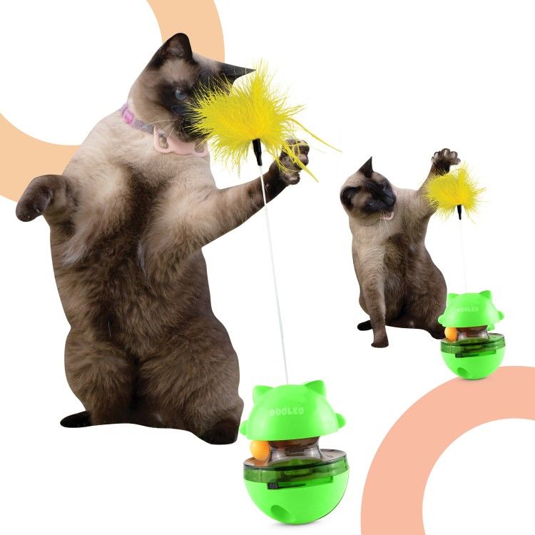 Interactive Cat Toy Bundle