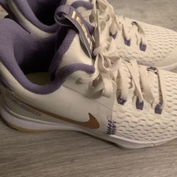 Nike Lebron Witness 5