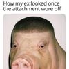 Jax