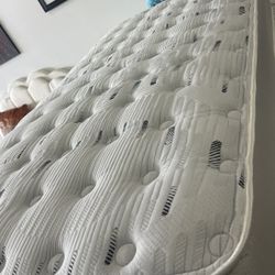 Twin Mattress