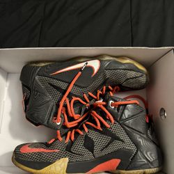 Lebron 12 Court Visions