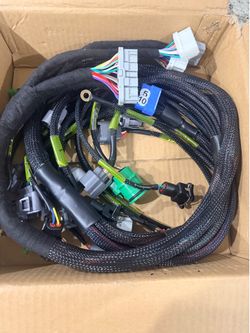 Harness