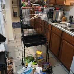 bird cage with supplies in pictures $120.00 cash only sale firm on price 