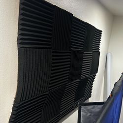 Large Acoustic Sound Panel (don’t know the dimensions)