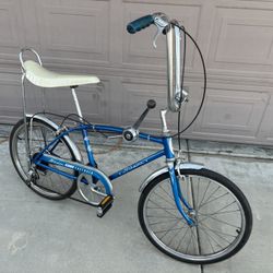 Schwinn 